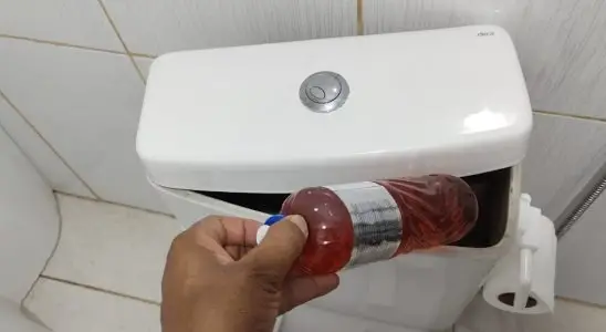 Como perfumar banheiro por 30 dias: truques simples e caseiros para manter a casa sempre cheirosa 3 como perfumar banheiro por 30 dias