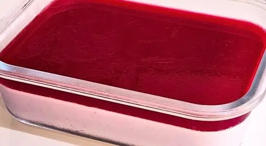 Sobremesa de 2 ingredientes muito cremosa e fácil de fazer para você não perder tempo na cozinha no fim de semana 1 sobremesa de 2 ingredientes
