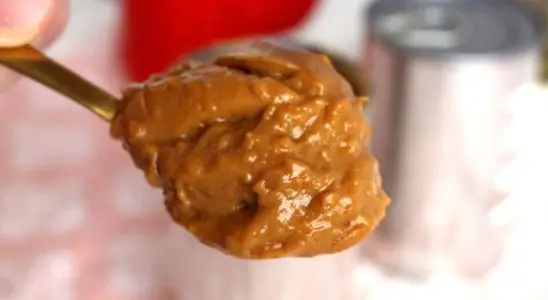 Doce de leite na pressão: o método mais prático e rápido para você preparar um doce de leite caseiro 4 Doce de leite na pressão