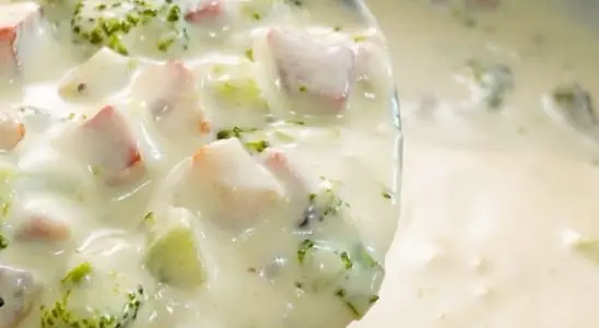 Molho para lasanha e macarronadas, feito com uma base branca deliciosa e brócolis, uma delícia 2 Molho para lasanha
