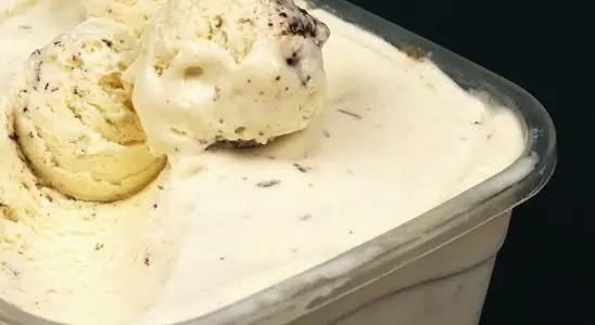 Sorvete caseiro de flocos: fácil, cremoso e econômico, para você refrescar toda a família 3 Sorvete caseiro de flocos