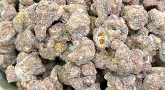 Pipoca gourmet de leite em pó bem crocante e sequinha, para você preparar em poucos minutos e se deliciar 1 Pipoca gourmet