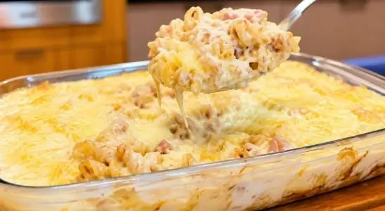 Macarrão cremoso, uma refeição fácil e deliciosa para o seu dia que vai surpreender a família 1 Macarrão cremoso