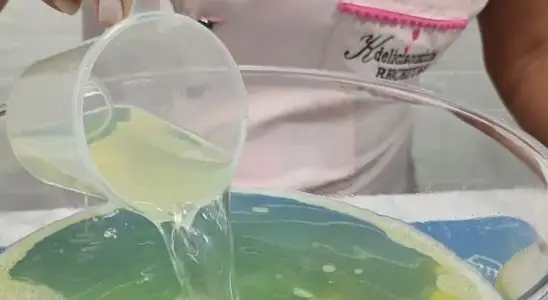 Desengordurante caseiro poderoso para remover toda a gordura pesada das panelas e do fogão 3 Desengordurante caseiro